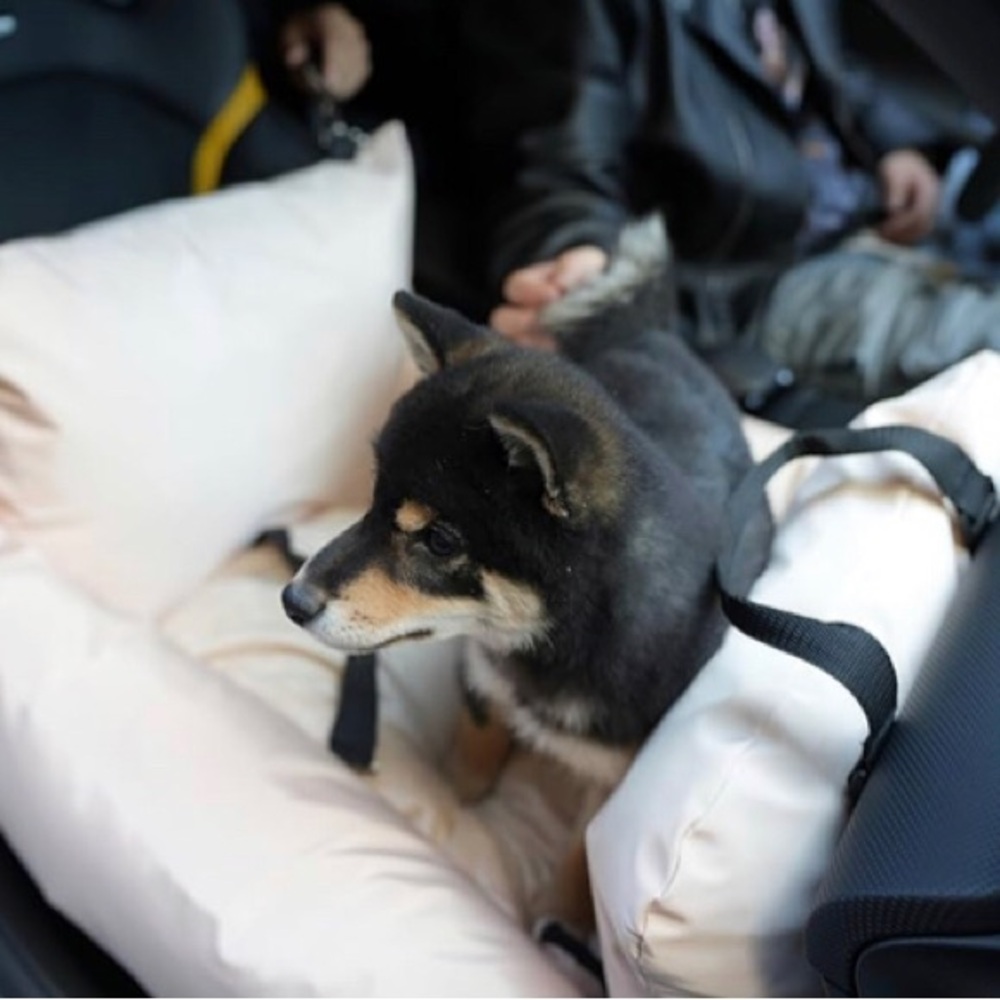 Dog Car Seat for small/medium , Detachable and Washable